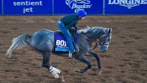 Danny Boy Breeders' Cup